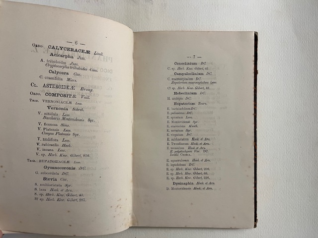Enumeratio plantarum sponte nascentium agro Montevidensi cum synonimis selectis